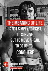 arnold schwarzenegger quote | Tumblr via Relatably.com