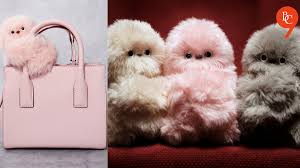 News source: The Bridge Chronicle