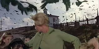 Resultado de imagem para os pássaros