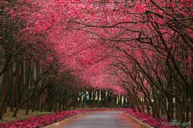 Image result for pictures gallery for amazing places of the world