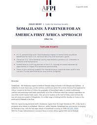 America First Policy Institute - News update