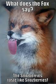 What does the fox say on Pinterest | Foxes, Super Troopers and ... via Relatably.com