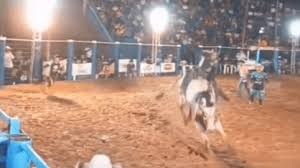 Peão morre pisoteado por touro em arena de rodeio em Rondônia