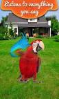 virtual villagers 2 parrots singing and talking dolls 2016