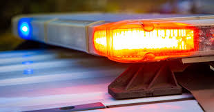 Oklahoma Farmer Killed by Water Buffaloes He Bought at Auction