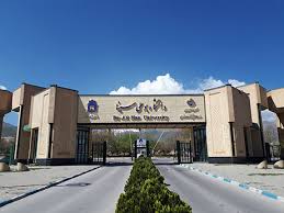 معاون سیاسی استاندار همدان در گفت‌وگو با ایسنا: همه‌چیز در مرحله بررسی است