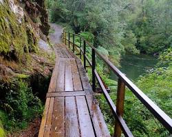 Immagine di Il Parque Nacional Alerce Andino