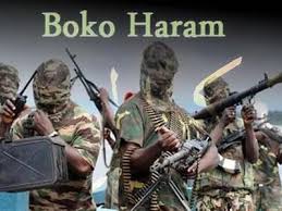 Image result wey dey for boko haram