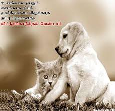 Funny Friendship Quotes In Tamil. QuotesGram via Relatably.com