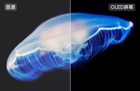 OLED电视价格一降再降液晶电视还值得买吗-腾讯新闻