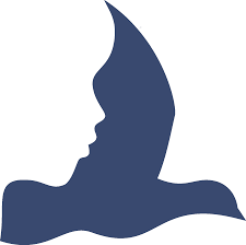 Image result for dermatology logo