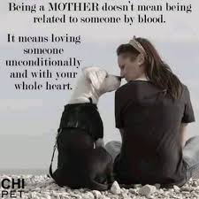 Dog mom | loving my babies.. | Clothes-minded. | Pinterest | Dog ... via Relatably.com