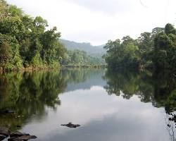 Image of Cardamom Mountains Wildlands Project