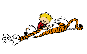 Image result for calvin and hobbes