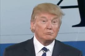 Image result for Donald Trump