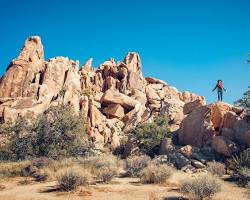 Image of Hidden Valley Joshua Tree National Park