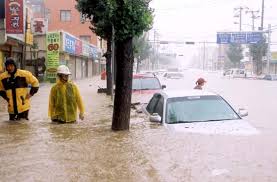 Image result for images of typhoon maemi