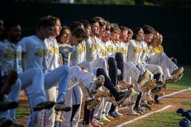 Savannah Bananas bring Banana Ball to Wrigley Field this weekend