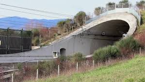 Résultat de recherche d'images pour "train entering a tunnel"