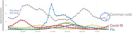 Foodborne illness increase? Common cold, Covid-19 summer wave, and more.
