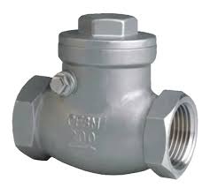 Check Valve, Cast Iron, ASME Class 125, Full Body 3 Inch ...