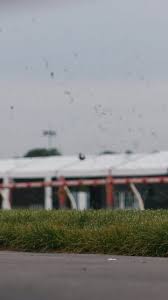 racenet.com.au - News update