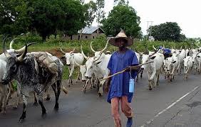 Image result for herdsmen