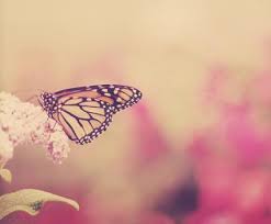 Znalezione obrazy dla zapytania spring we heart it