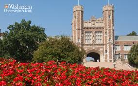 Image result for washington university in st. louis