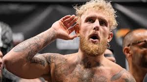 Jake Paul: 'MMA is ripe for disruption'