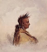 Image result for native american indian