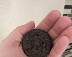 Gambar Oreo Pokemon Squirtle cookie