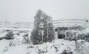 강풍 경보 - 제주와 전국, 한파·강풍에 항공·해상 운항 대란 우려 (폭설, 항공운항)