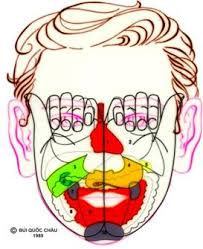 Kết quả hình ảnh cho 28 đồ hình diện chẩn
