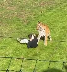 First picture of man mauled to death by tiger revealed as shocking details of last moments emerge