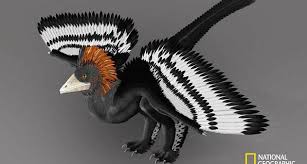 Resultado de imagem para dinossauro com penas