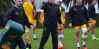 Boks vs Italy: Breakdown Battle Looms! Key Clash This Weekend!