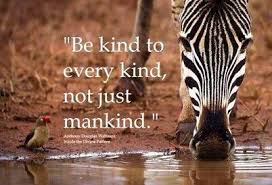 Stop Animal Cruelty Quotes. QuotesGram via Relatably.com