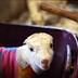 Meet the Tampa Bay farmers who bring their hauls to the Saturday ...