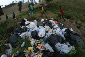 Hasil gambar untuk pecinta alam indonesia