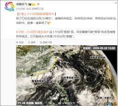 Trend Google: 天气