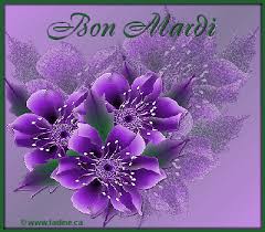 Résultat de recherche d'images pour "bonne journée froid"