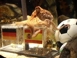 Image result for german octopus predicts football final