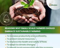 Image of Sustainable agriculture practices