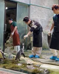 280723] [VIETSUB] OFFGUN FUN NIGHT with WINNYSATANG (link ...