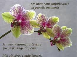 condoléance pour notre amie miassa   Images?q=tbn:ANd9GcRjAzy8YK2RTkGJJdr6vDSCP_1CWfSyu07Z1bjzFNZGmlasI4AG