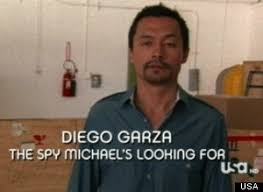 Résultat de recherche d'images pour "burn notice images hawaiian shirts"