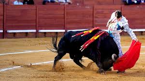 canal sur directo
