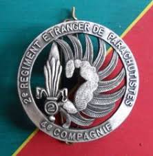 Image result for World Foreign Legions