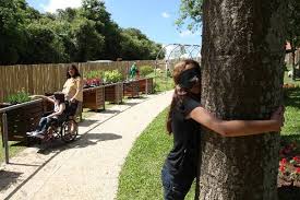 Resultado de imagem para jardim botanico rio de janeiro sensorial